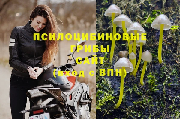 эйфоретик Алексеевка