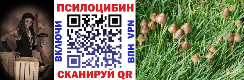 Псилоцибиновые грибы мицелий Ставрополь